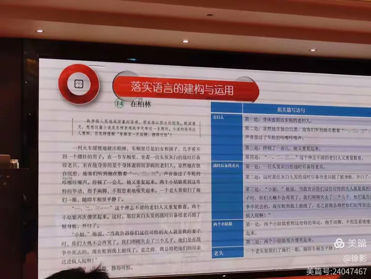 辞旧迎新待春归打一肖详细解答、综合解答解释落实
